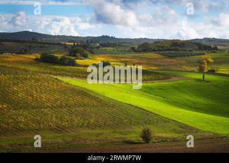 Automne en Toscane, champs, arbres et vignes. Paysage à Castellina in Chianti, Italie, Europe. Banque D'Images