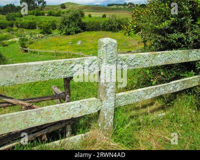 Fausse clôture en bois recouverte de lichens, créée par des yaourts moisis dans l'attraction touristique de Hobbiton dans les terres agricoles près de Matamata Nouvelle-Zélande Banque D'Images