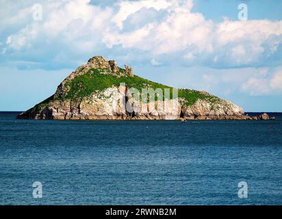 Thatcher Rock juste à côté de Thatcher point Torquay Torbay South Devon Southwest England est fait de calcaire dévonien Banque D'Images