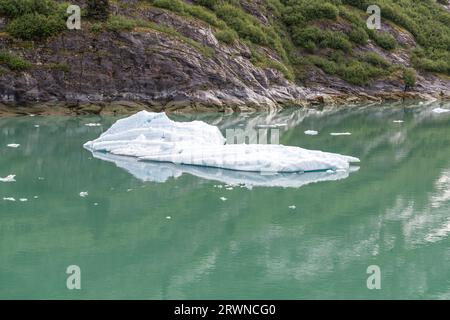 Growler (petit iceberg) flottant dans la mer dans la baie de Tracy Arm, Alaska, États-Unis Banque D'Images