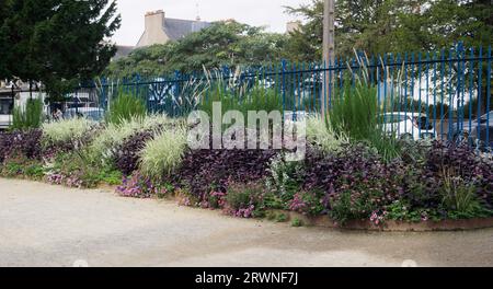 Lit périmétrique au jardin des plantes St Nazaire Banque D'Images