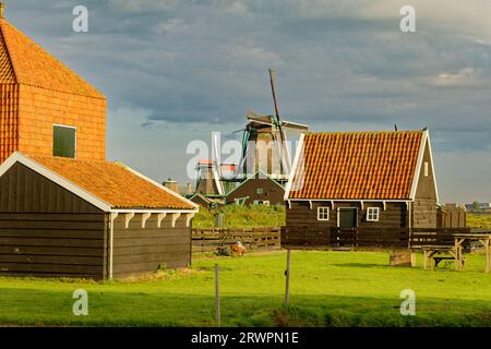 AMSTERDAM, PAYS-BAS - 24 août 2023 : Amsterdam est la capitale des pays-Bas, connue pour son patrimoine artistique, son système de canaux élaboré et son Hou étroit Banque D'Images