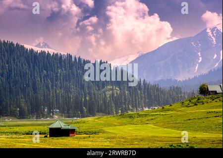 Lever de soleil dans les montagnes. Panorama des montagnes. Magnifique paysage de montagne pittoresque de Gulmarg Jammu et Cachemire State India. Banque D'Images