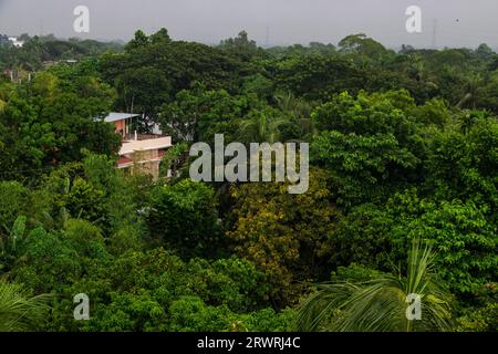 Arial voit la photographie de forêt verte de Ruhitpur, Bangladesh, le 05 septembre 2022 Banque D'Images