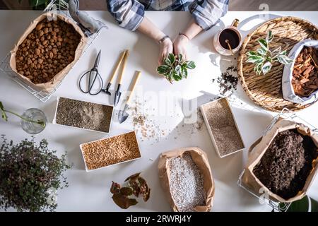 Les mains de jardinier femelle tenant une petite casserole avec l'équipement de jardin monstère variable sur la table de clôture Banque D'Images