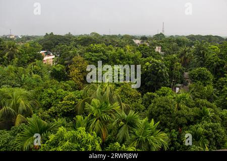 Arial voit la photographie de forêt verte de Ruhitpur, Bangladesh, le 05 septembre 2022 Banque D'Images