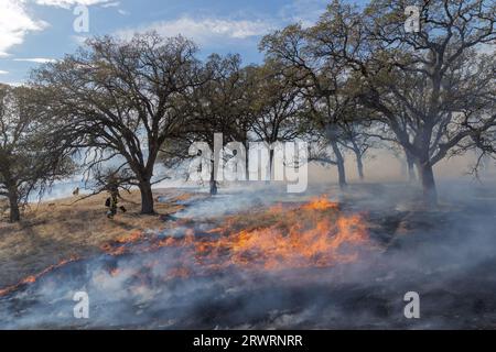 wildfire brûle une colline dans une forêt de chênes avec les pompiers regardant Banque D'Images