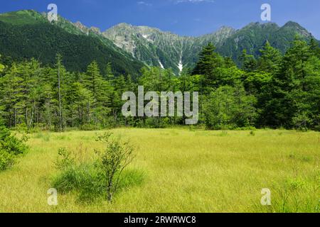 Marais de Kamikochi Tashiro et chaîne de montagnes Hotaka Banque D'Images