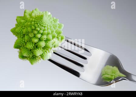 Romanesco fleuret sur une fourchette. Cabbaage sur une fourchette Banque D'Images