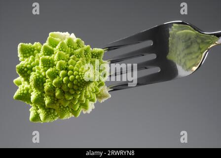 Romanesco fleuret sur une fourchette. Chou d'une fourchette Banque D'Images