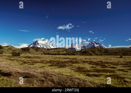 Vue panoramique des sommets enneigés et les prés herbeux dans le Parc National des Torres del Paine Banque D'Images