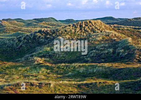 Dunescape dans la première lumière du matin sur la côte danoise de la mer du Nord, Syddanmark, Danemark Banque D'Images