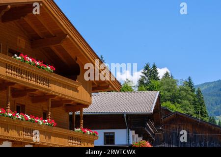 Maison autrichienne traditionnelle en bois avec des fleurs rouges et blanches sur le balcon. Arbres et collines en arrière-plan. Banque D'Images