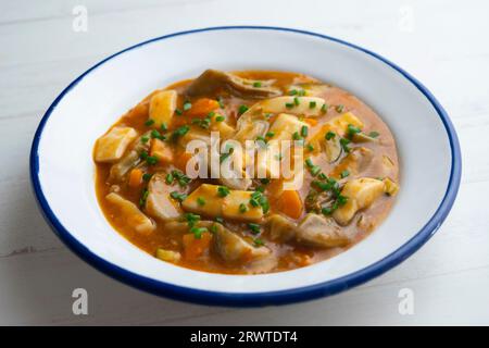 Lanières de calmars mijotées avec pommes de terre, légumes et bouillon. Banque D'Images