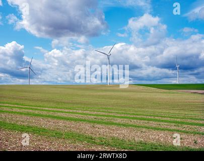 champs presque abstraits dans les campagnes du nord de la france avec des éoliennes Banque D'Images