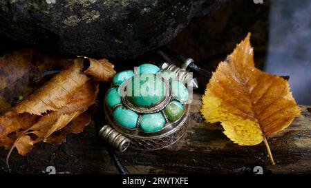 Magnifique pendentif en pierre turquoise sur une branche morte dans un ruisseau de montagne. Banque D'Images