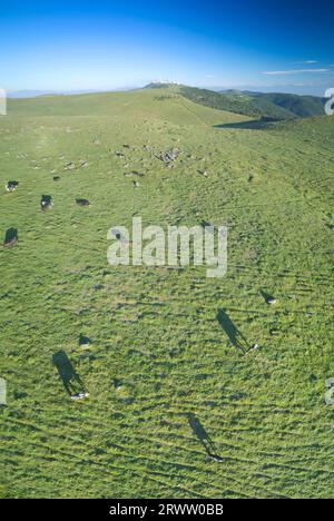 Panorama aérien de Utsukushigahara Pasture et Oogashira le matin Banque D'Images