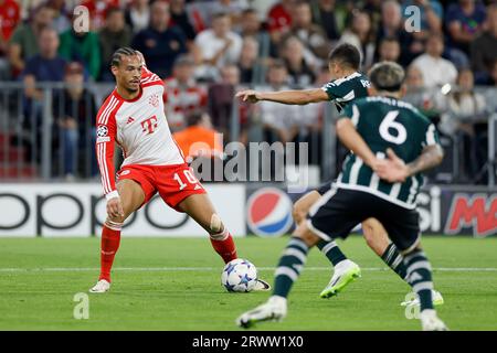 v. li. Leroy Sane (FC Bayern Muenchen, 10), Sergio Reguilon (Manchester United, 15) et Lisandro Martinez (Manchester United, 6), Fussball, UEFA Champions League, Bayern M?nchen - Manchester United Am 20.9.2023 in der Muenchner Allianz Arena. LES RÈGLEMENTS DU LDF INTERDISENT TOUTE UTILISATION DE PHOTOGRAPHIES COMME SÉQUENCES D'IMAGES ET/OU QUASI-VIDÉO. Banque D'Images