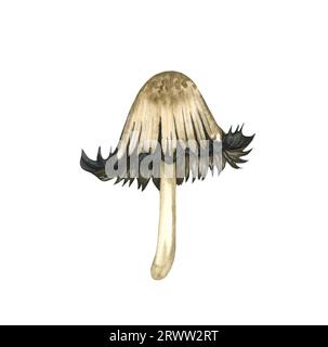 Aquarelle champignon toxique Amanita muscaria, isolé sur fond blanc. Illustration de forêt d'automne. Banque D'Images
