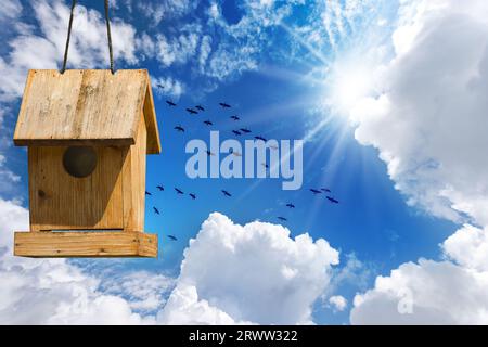 Petit nichoir en bois et un troupeau d'oiseaux contre un beau ciel bleu clair avec des cumulus blancs (cumulonimbus), vue de dessous, plein cadre. Banque D'Images