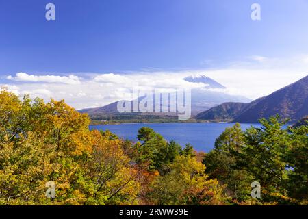 Fuji du lac Motosu en automne Banque D'Images