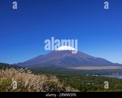 Fuji et herbe argentée à la première neige Banque D'Images