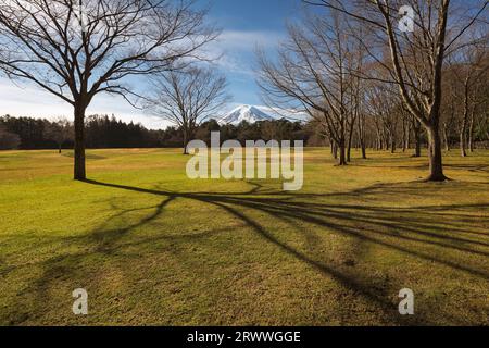 Fuji du parc des Pines dans la ville de Fujiyoshida Banque D'Images