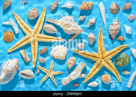 vue de dessus du concept de mer d'été avec coquillages, étoile de mer avec ombre dure dans l'eau d'ondulation sur fond bleu. Banque D'Images