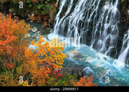 Chutes Shirohige et feuilles d'automne Banque D'Images