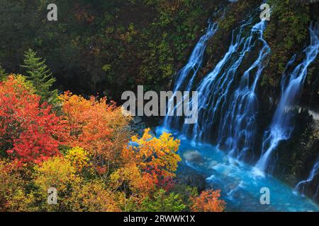 Chutes Shirohige et feuilles d'automne Banque D'Images