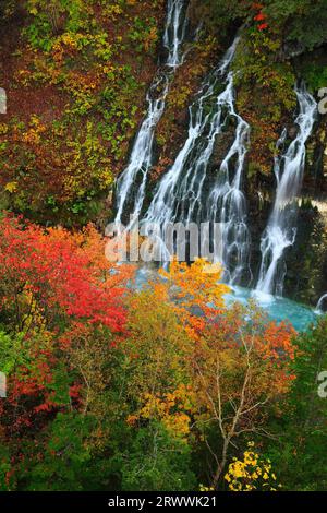 Chutes Shirohige et feuilles d'automne Banque D'Images