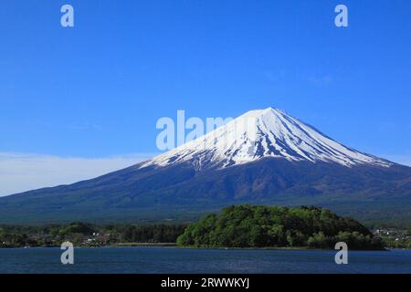 Fuji vu du parc Oishi au bord du lac Kawaguchi Banque D'Images