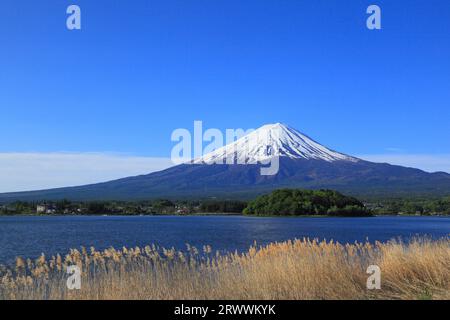 Fuji vu du parc Oishi au bord du lac Kawaguchi Banque D'Images