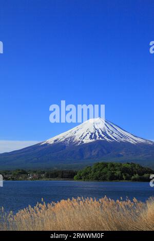 Fuji vu du parc Oishi au bord du lac Kawaguchi Banque D'Images