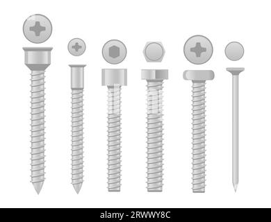 Collection de différents types d'illustration vectorielle de vis isolé sur fond blanc Illustration de Vecteur