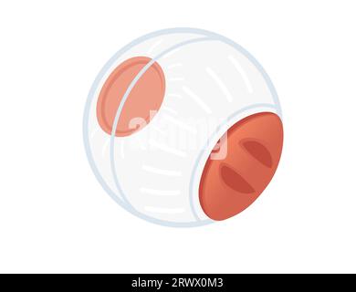 Boule transparente pour illustration vectorielle hamster isolé sur fond blanc Illustration de Vecteur