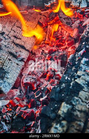 Vue macro brûlant des braises rouges avec des journaux noircis et des cendres blanches en arrière-plan Banque D'Images