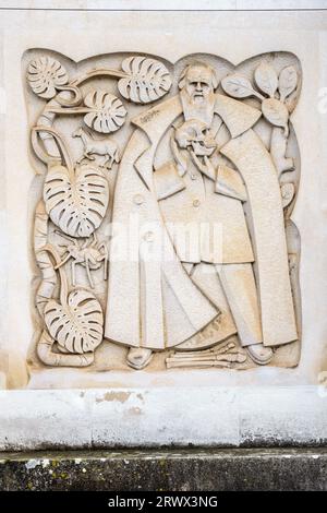 Sculpture moderniste en bas-relief représentant la biologie sur la façade de la Biblioteca Geral (Bibliothèque générale) de l'Université de Coimbra, Portugal Banque D'Images