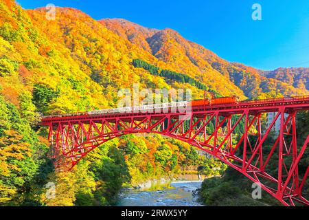 Gorges de Kurobe en automne, Préfecture de Toyama, train de trolley du Japon et la chaîne de montagnes avec des feuilles d'automne et un ciel dégagé Banque D'Images