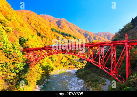 Gorges de Kurobe en automne, Préfecture de Toyama, train de trolley du Japon et la chaîne de montagnes avec des feuilles d'automne et un ciel dégagé Banque D'Images