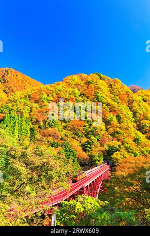 Gorges de Kurobe en automne, Préfecture de Toyama, train de trolley du Japon et la chaîne de montagnes avec des feuilles d'automne et un ciel dégagé Banque D'Images