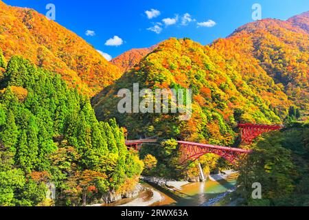 Kurobe gorge Trolley train en automne et la chaîne de montagnes avec des feuilles d'automne Banque D'Images