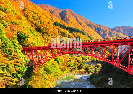 Gorges de Kurobe en automne, Préfecture de Toyama, train de trolley du Japon et la chaîne de montagnes avec des feuilles d'automne et un ciel dégagé Banque D'Images