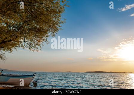 Vue large d'un bateau de pêcheur dans le lac Ulubat, Golyazi, Bursa, Turquie, grand arbre au bord du lac, coucher de soleil Banque D'Images