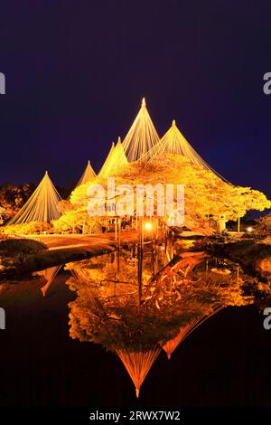 Illumination de Kenrokuen dans le jardin Kenrokuen de Hokuriku-Kanazawa en hiver Banque D'Images