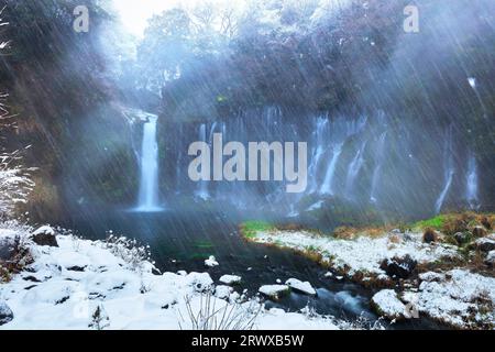 Neige à Shiraito Falls en hiver Banque D'Images