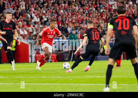 Lisbonne, Portugal. 20 septembre 2023. David Neres de Benfica vu en action lors du match de championnat entre Benfica et FC Red Bull Salzburg au stade Estádio da Luz. FC Salzbourg a gagné contre SL Benfica par 0 - 2 (photo Nuno Branco/SOPA Images/Sipa USA) crédit : SIPA USA/Alamy Live News Banque D'Images