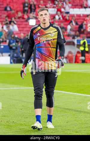 Lisbonne, Portugal. 20 septembre 2023. Anatoliy Trubin de SL Benfica vu en action lors du match de championnat entre Benfica et FC Red Bull Salzburg au stade Estádio da Luz. FC Salzbourg a gagné contre SL Benfica par 0 - 2 (photo Nuno Branco/SOPA Images/Sipa USA) crédit : SIPA USA/Alamy Live News Banque D'Images