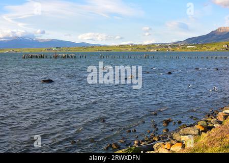 Puerto Natales, ancienne jetée. Provincia de Ultima Esperanza, Magallanes y Antartica Chilena. Banque D'Images