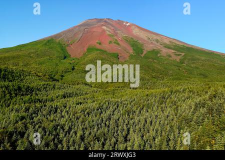 Yamanashi Mt. Fuji en été vu de la colline Banque D'Images